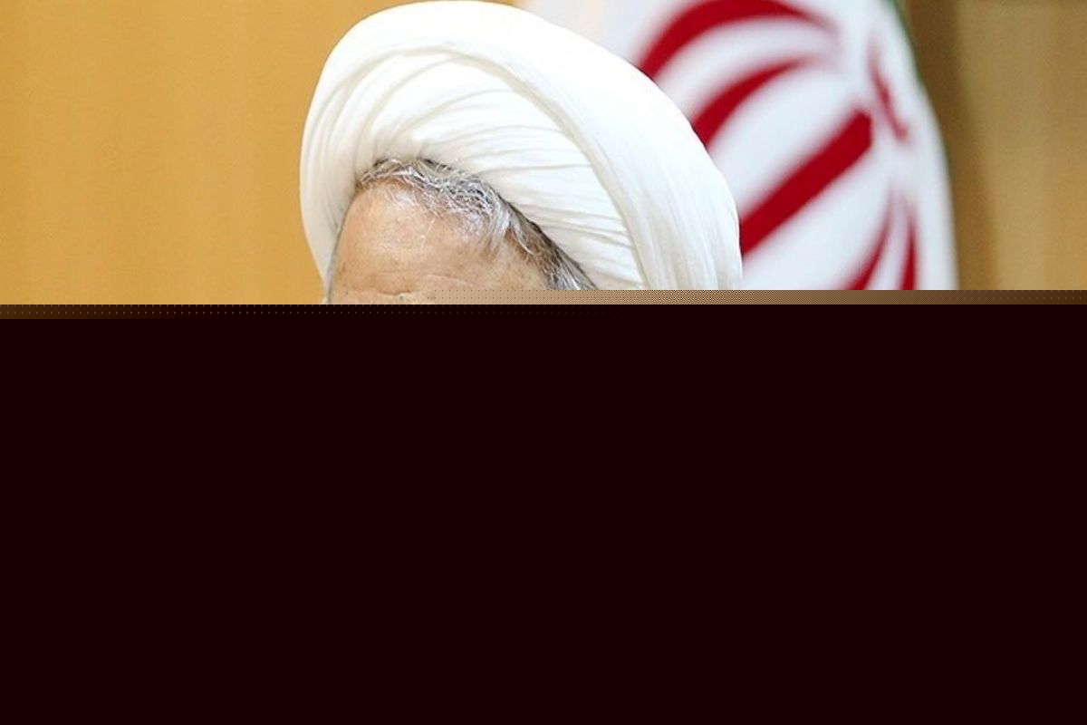 قانون جامع و کامل صیانت از حقوق عامه تدوین می‌شود