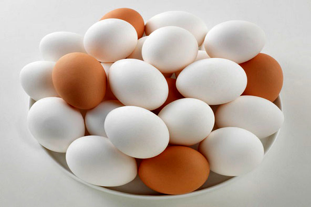 اگر به تخم مرغ آلرژی دارید این موارد را بخوانید