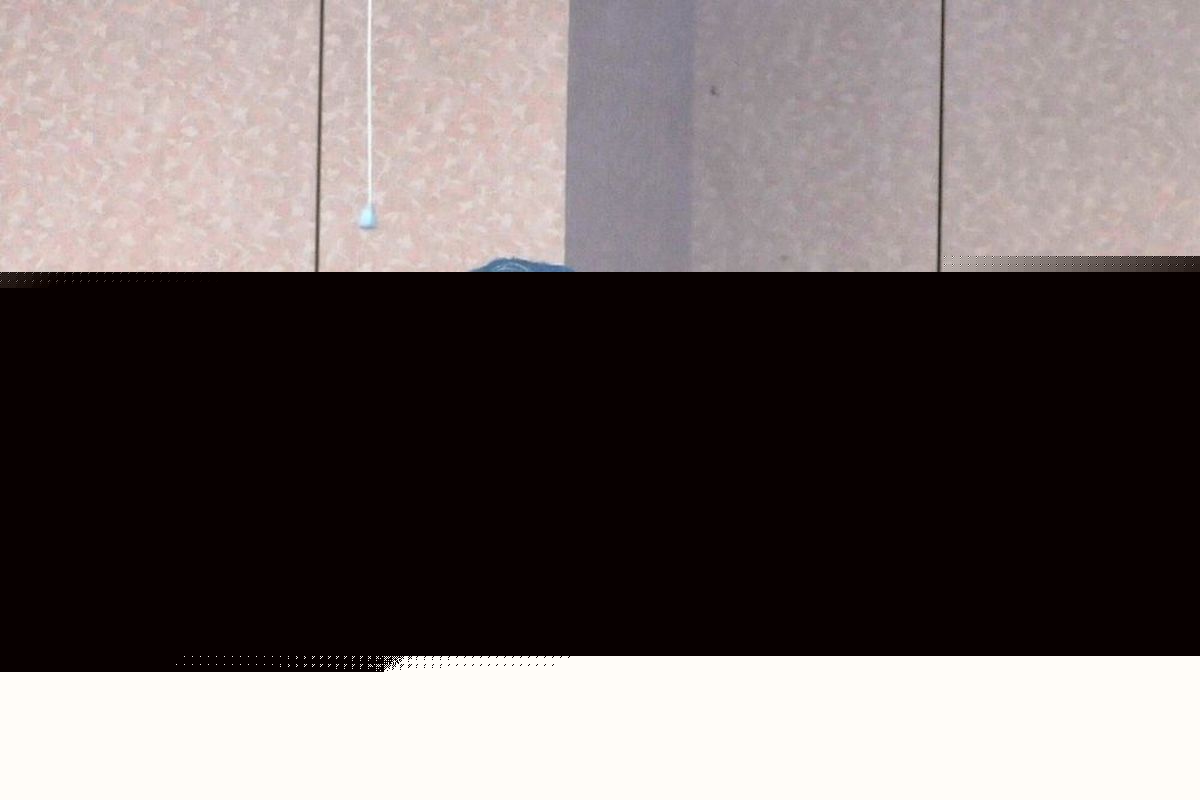 چرا جباری به همایش استقلال نرفت؟