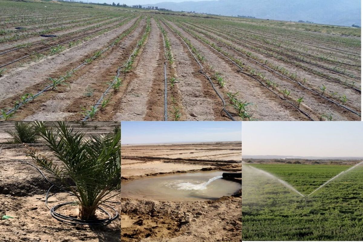 مجهز شدن بیش از ۴۶ هزار هکتار اراضی کشاورزی به سیستم های نوین آبیاری