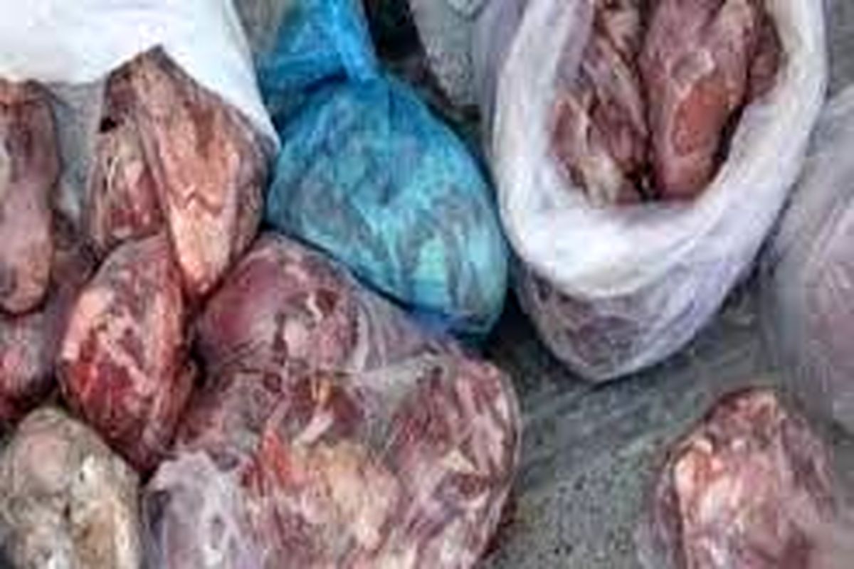 کشف و ضبط ۳ تن و ۸۰۰ کیلو گرم گوشت فاسد در شهرستان کهگیلویه