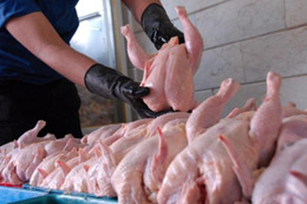 جریمه ۳۳ میلیارد ریالی واحد عمده فروش گوشت مرغ