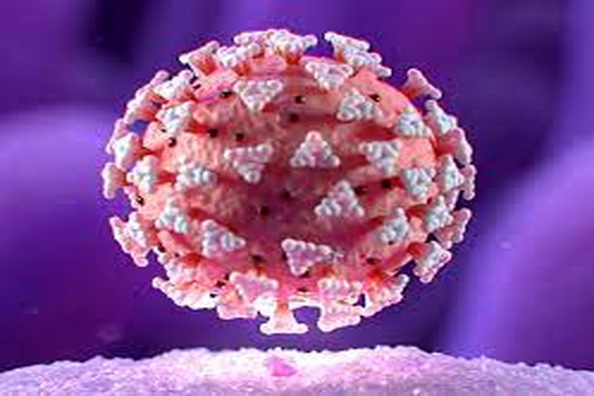 آخرین و جدیدترین آمار کرونایی استان اردبیل تا ۲ آذر ۱۴۰۰