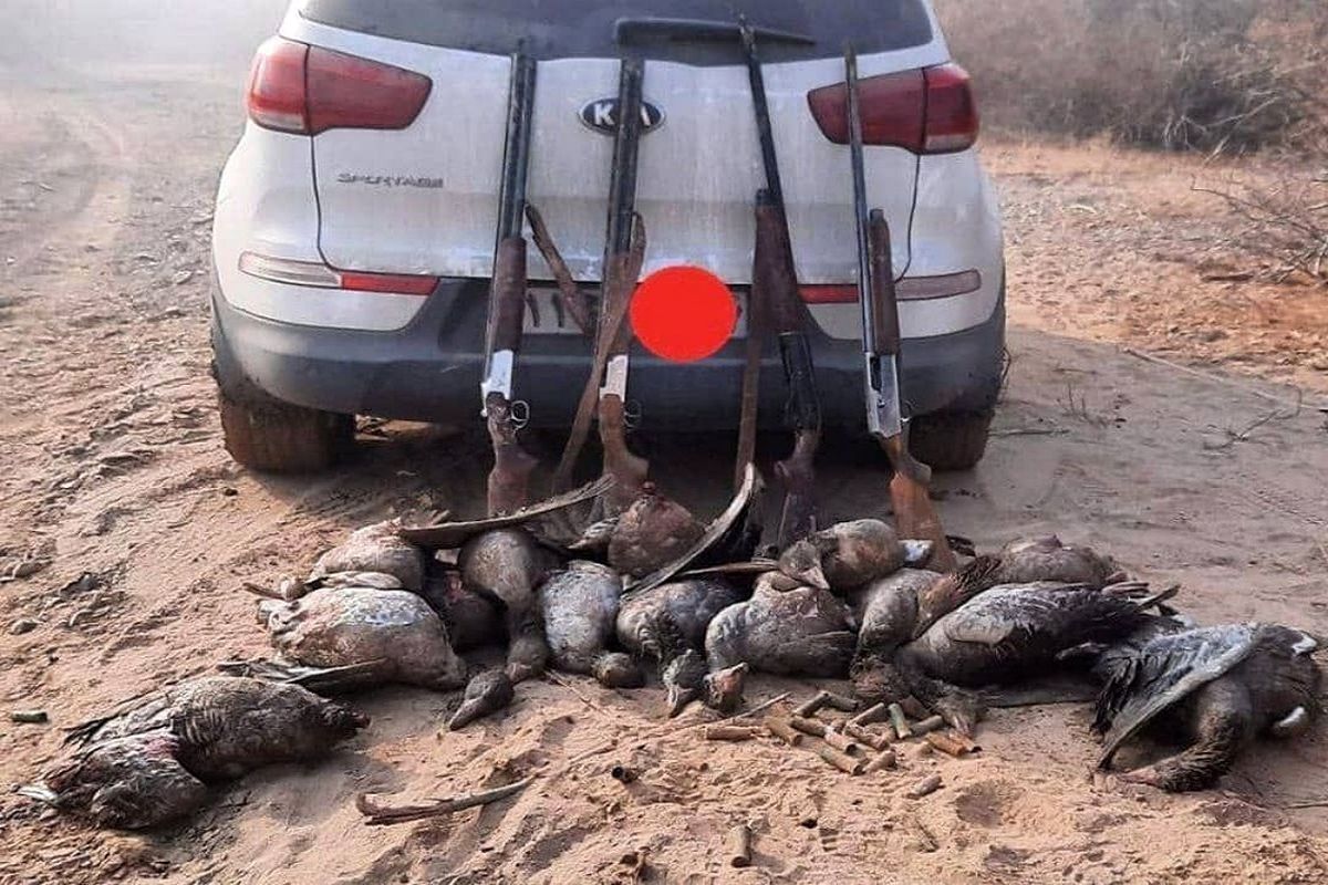 دستگیری شکارچیان متخلف در پلدشت