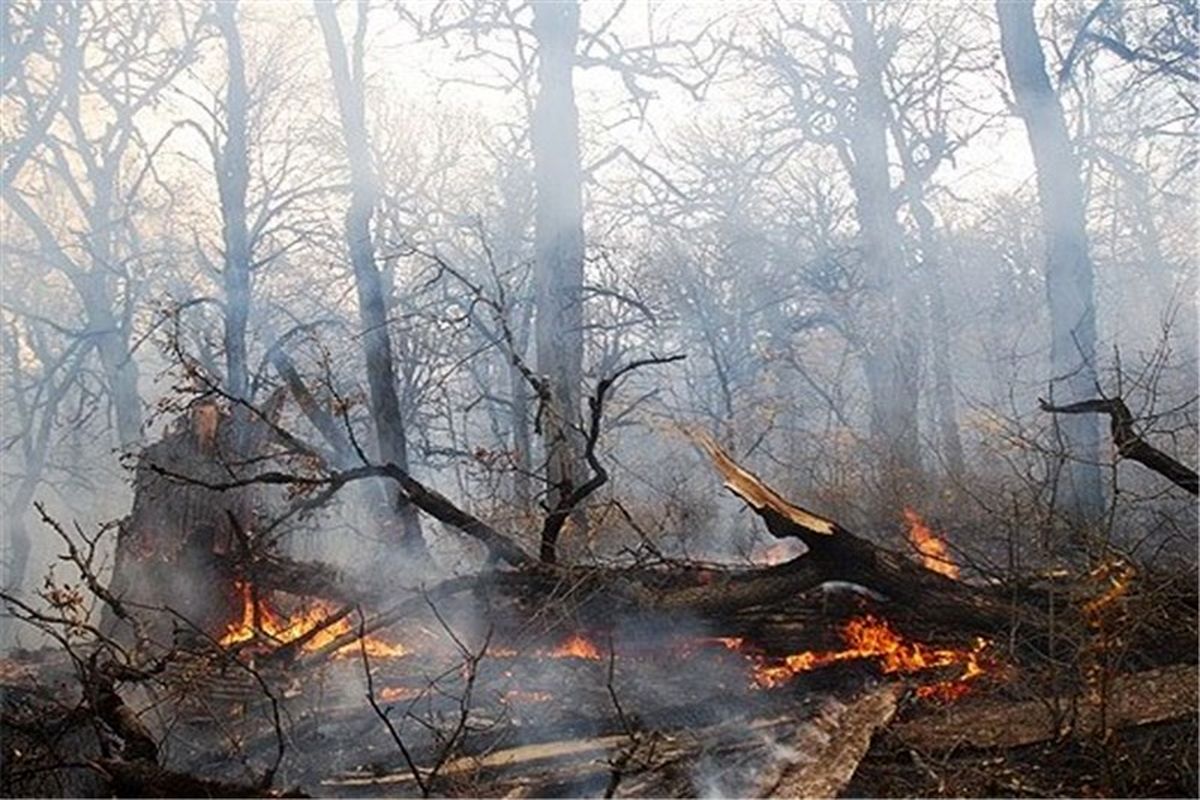 آتش سوزی گسترده جنگل های گیلان