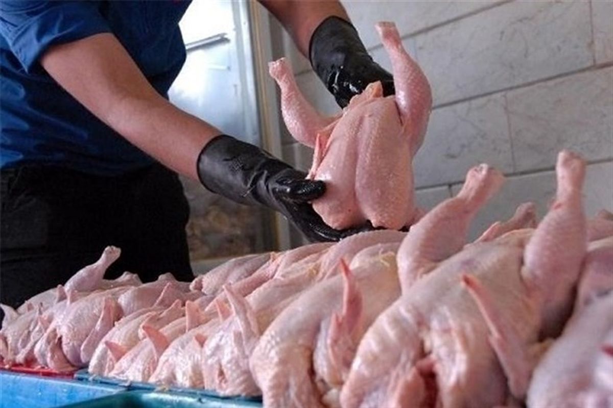فعالیت شبانه‌روزی «میدان بهمن» برای تأمین گوشت مرغ در ۱۳ فروردین
