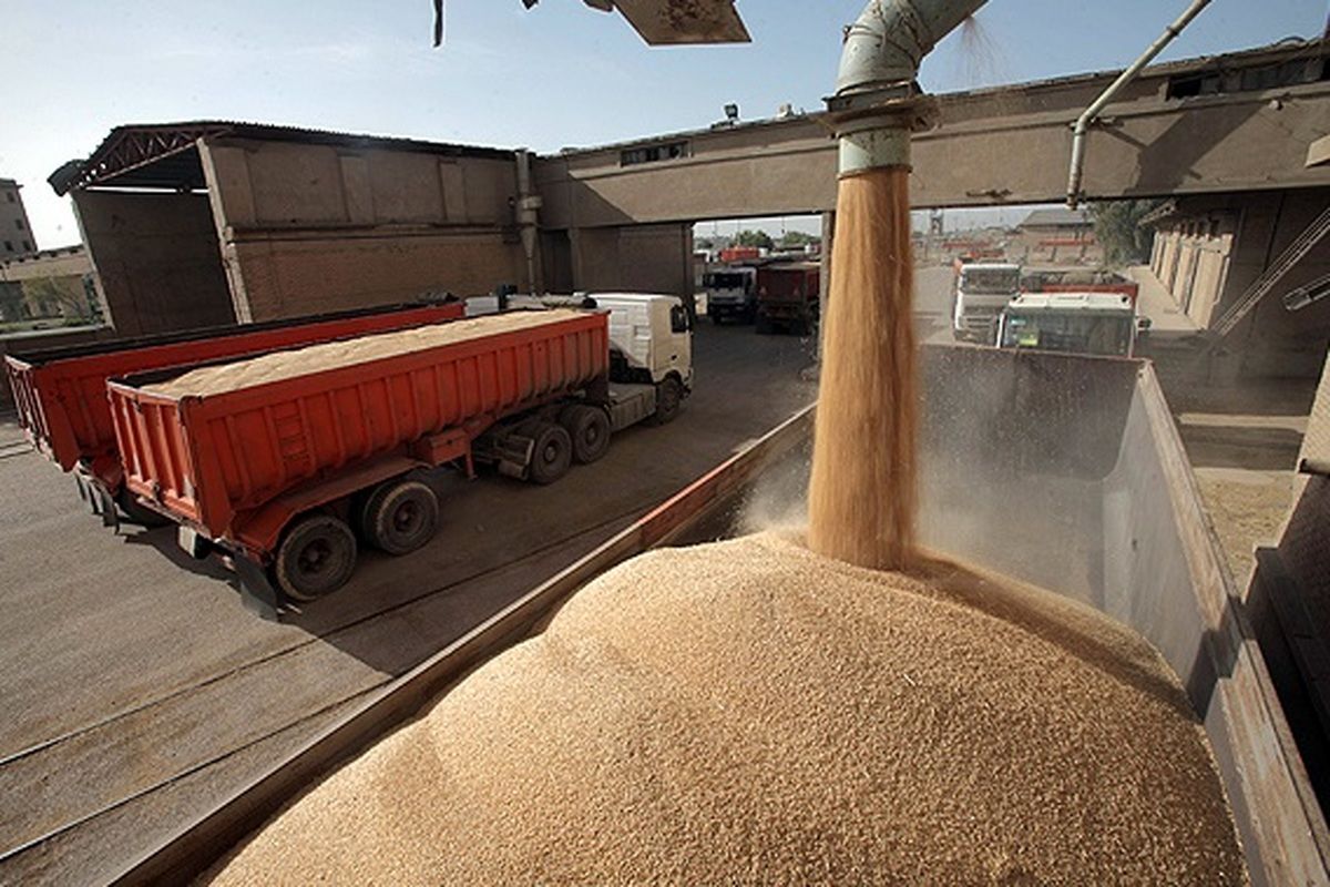 پهلوگیری یک کشتی حامل ۱۰۰ هزار تن گندم در بندر امام (ره)