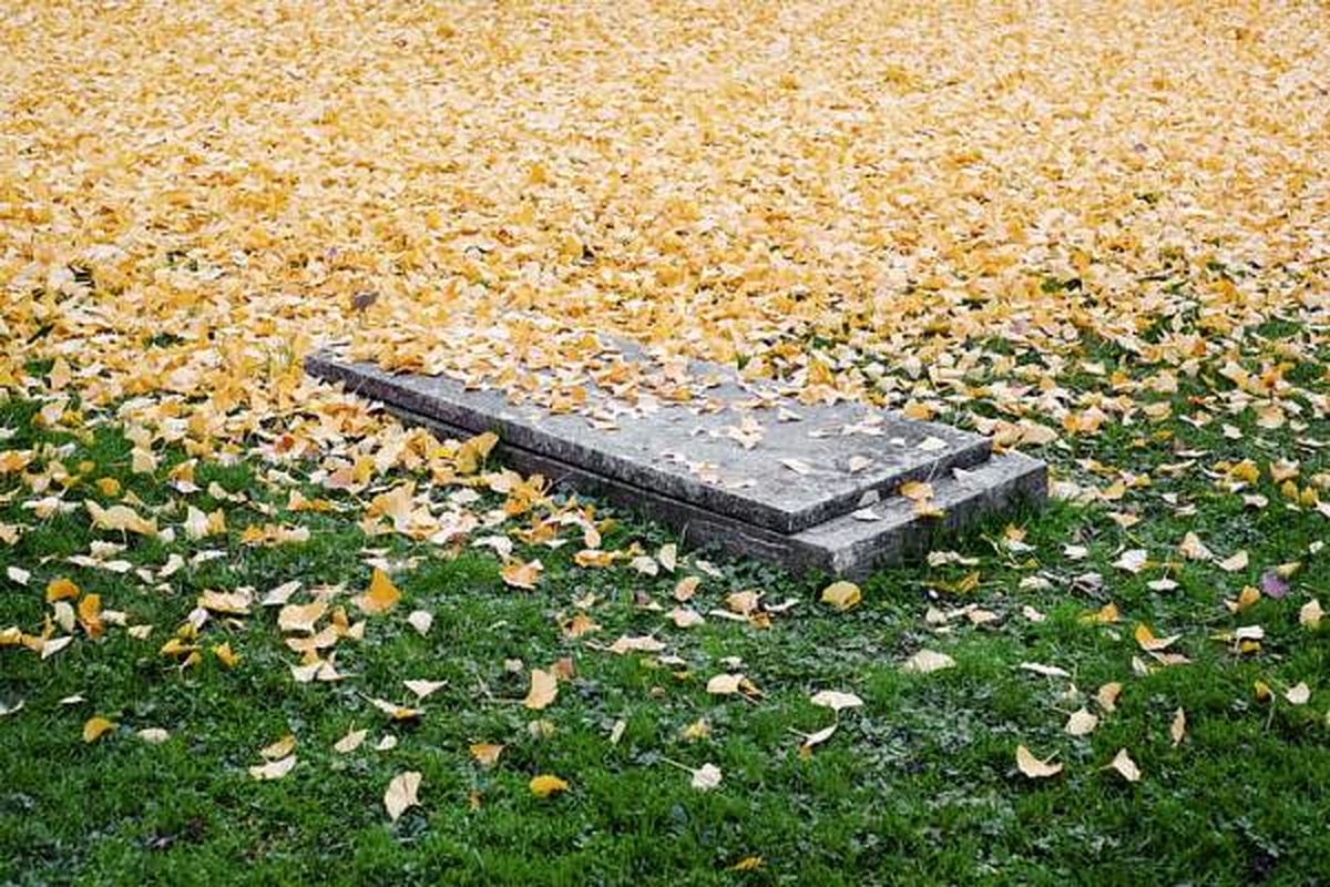 عجیب ترین سنگ قبر یک هنرمند در بهشت زهرای تهران+ببینید
