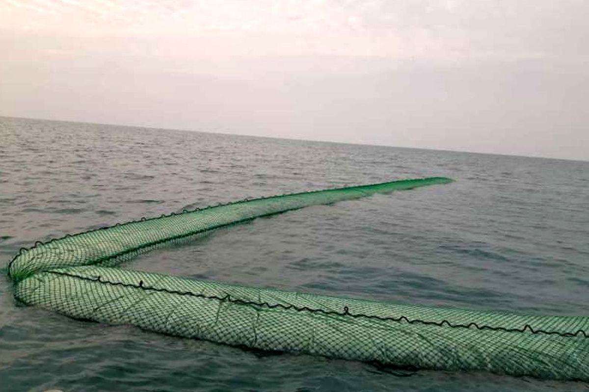 هزارلیتر سوخت در سواحل سیریک  کشف شد