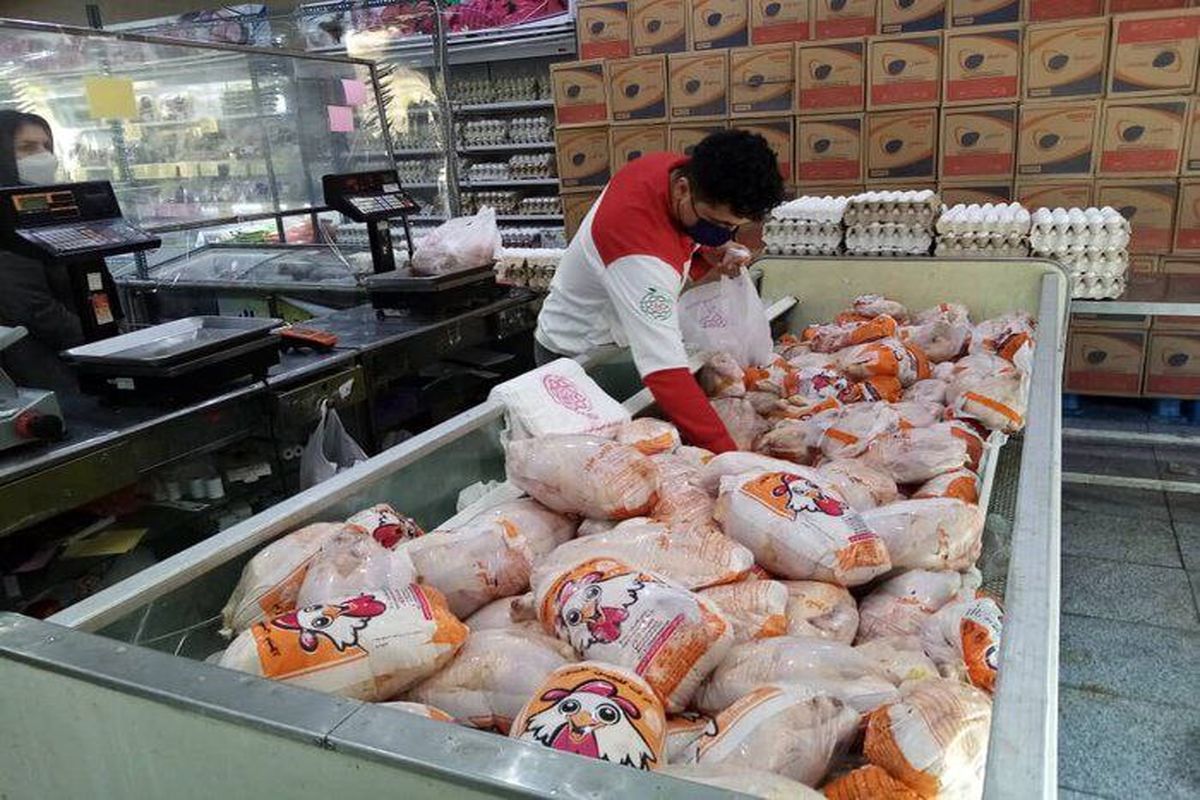 کاهش قیمت گوشت مرغ گرم در میادین میوه و تره بار پایتخت