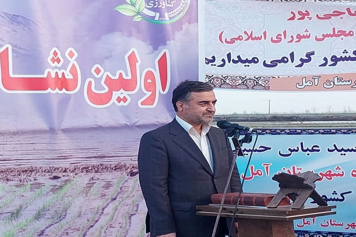 حسینی پور : ورود شرکت های دانش بنیان به بخش کشاورزی استان یک اولویت و ضرورت است