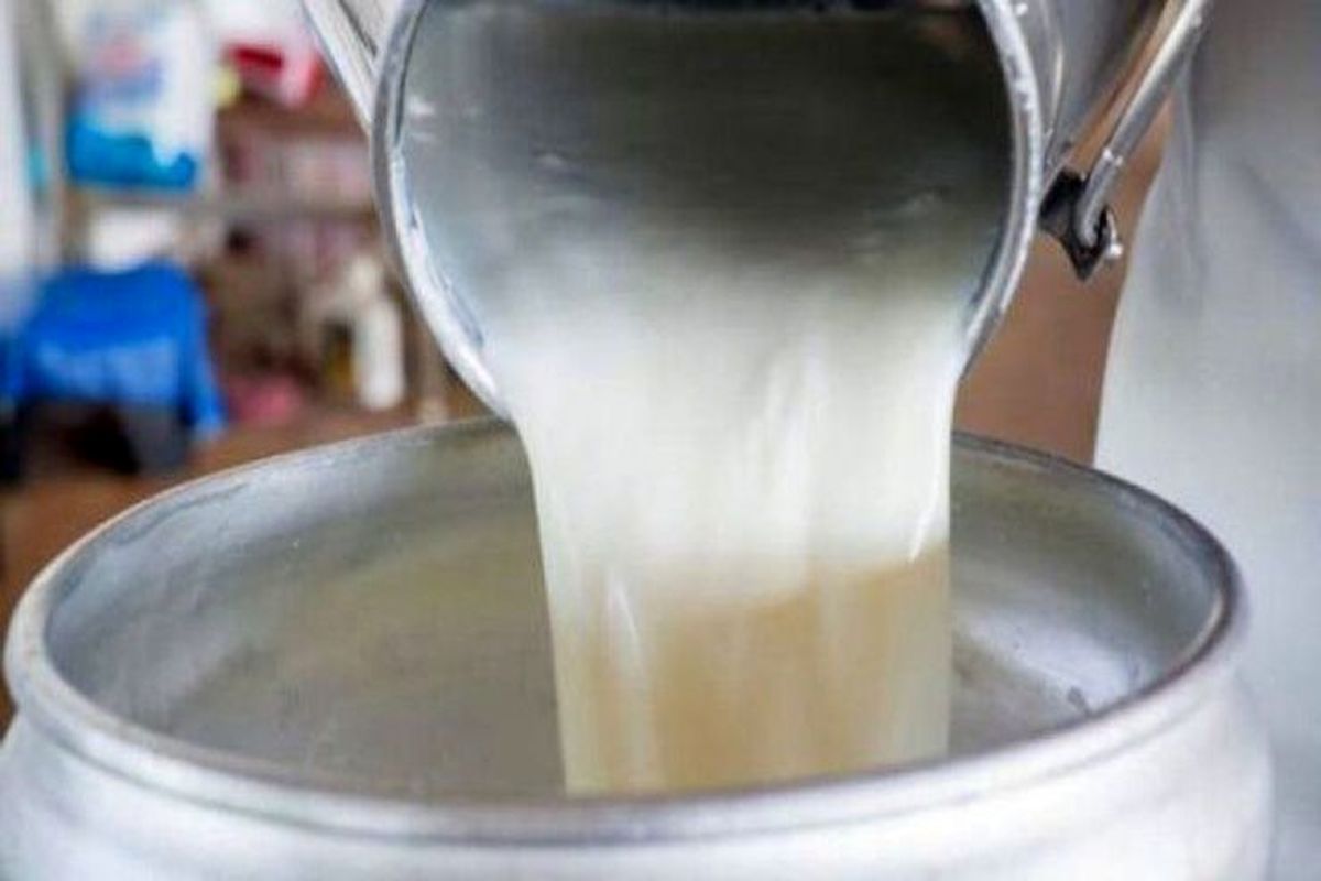 یک منبع آگاه در گفت‌وگو با برنا: قیمت شیر خام در روزهای آینده افزایش شدیدی خواهد یافت