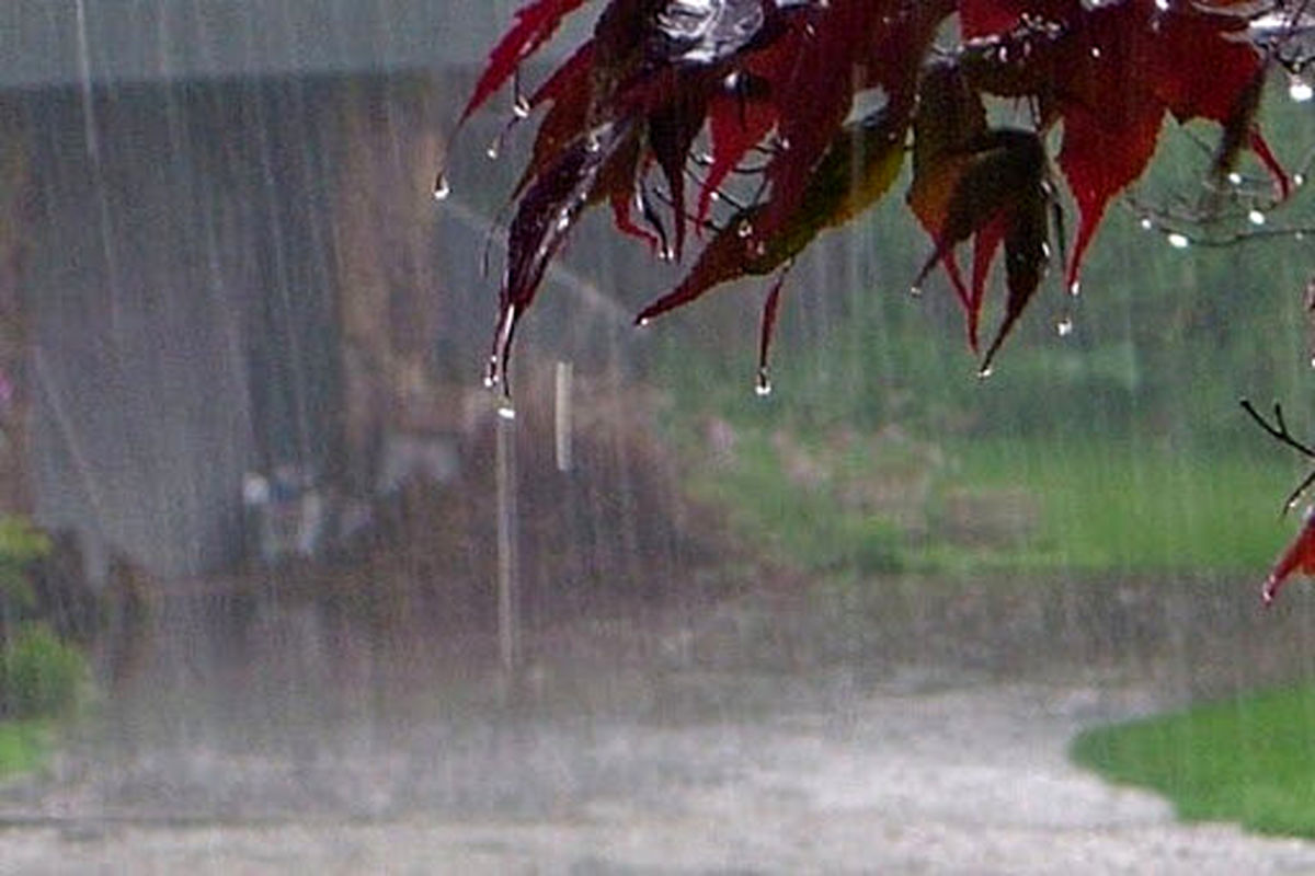 بارش شدید باران در راه ایلام