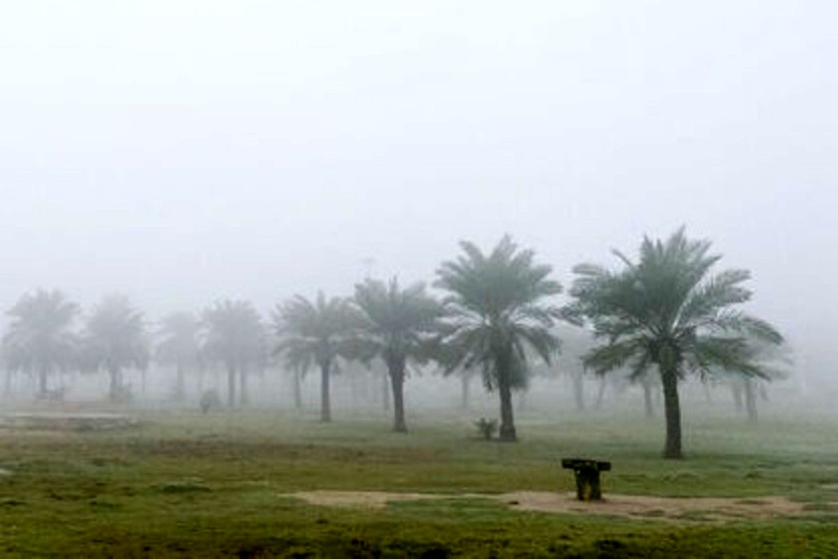 هشدار سطح نارنجی هواشناسی؛ یخبندان و مه رقیق در خوزستان