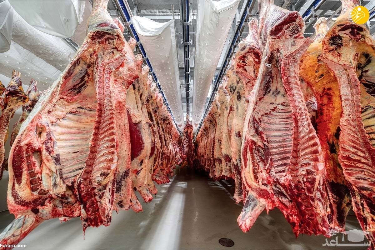 توزیع گوشت گوسفندی ۱۴۲ هزار تومانی در کشور