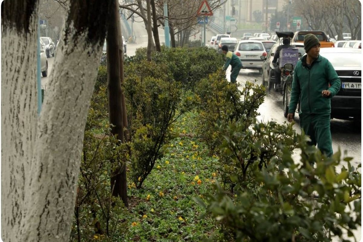 کاشت ۳۷ هزار گل و ۱۳۰۰ درخت در حاشیه بزرگراه شهید حکیم