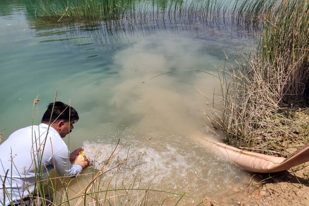 رهاسازی ۳۰۰ هزار قطعه بچه ماهی بومی در خرمشهر