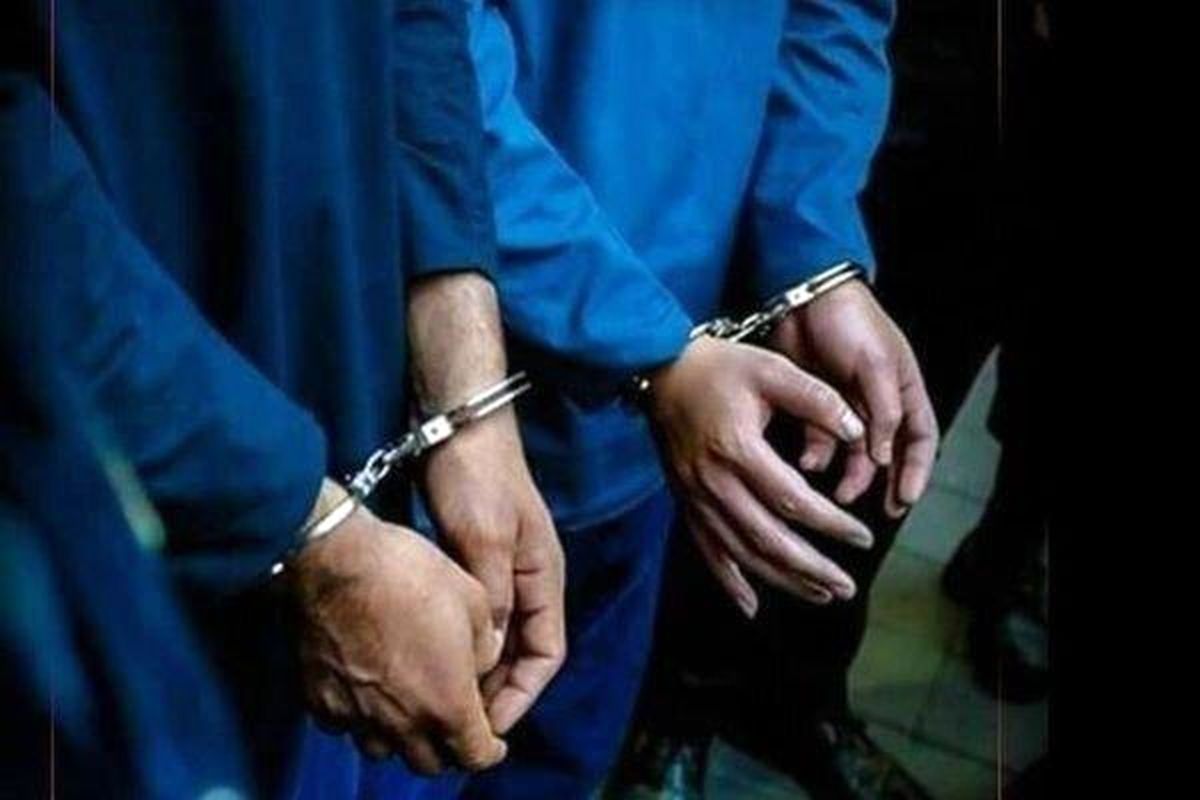 صدور حکم حبس برای حفاران غیرمجاز در فاروج