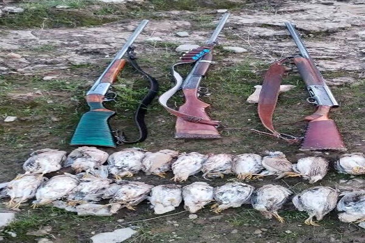 دستگیری ۹ شکارچی متخلف در کهگیلویه و بویراحمد