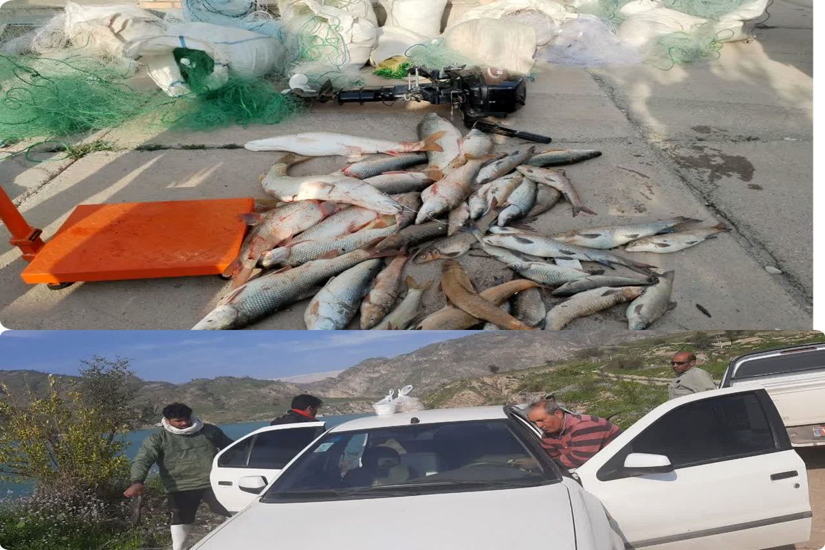 دستگیری یک گروه متخلف صید ماهی در سد کوثر گچساران