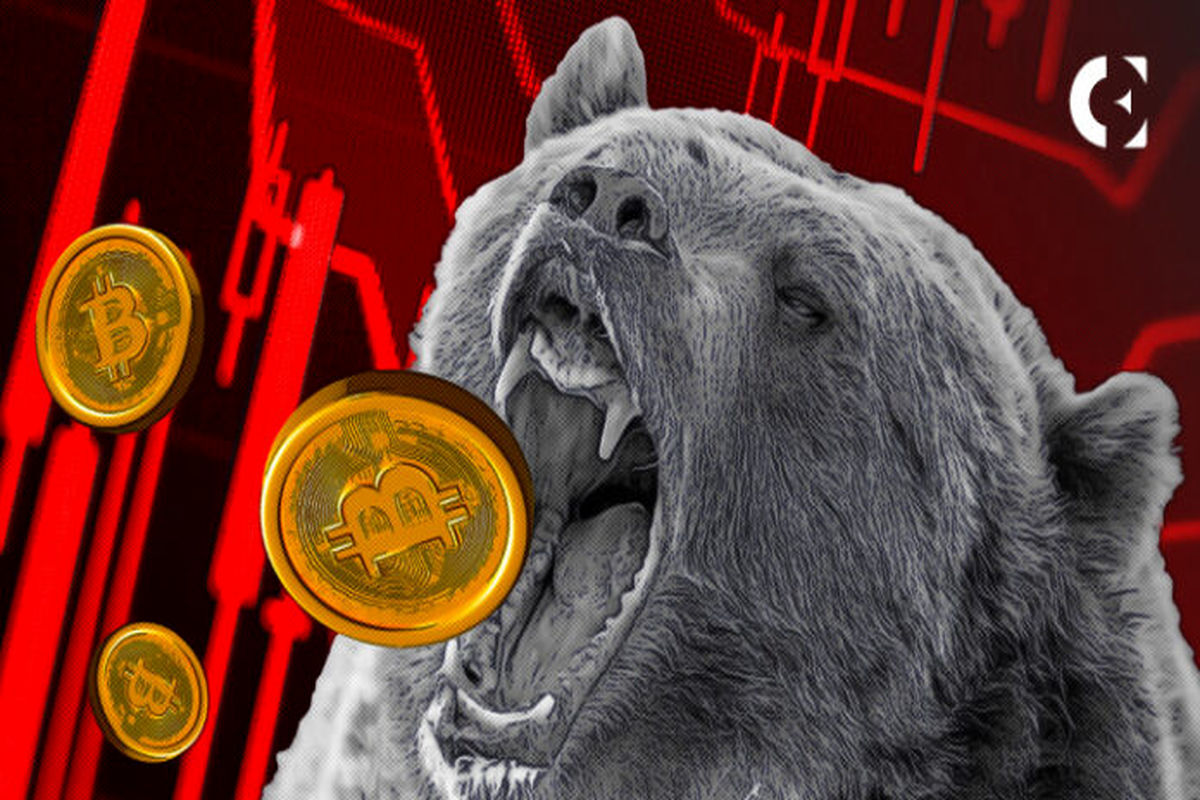 بنیانگذار رمز ارز جهانی هشت افت احتمالی ۱۹.۷ هزار دلاری بیت کوین را پیش بینی کرد