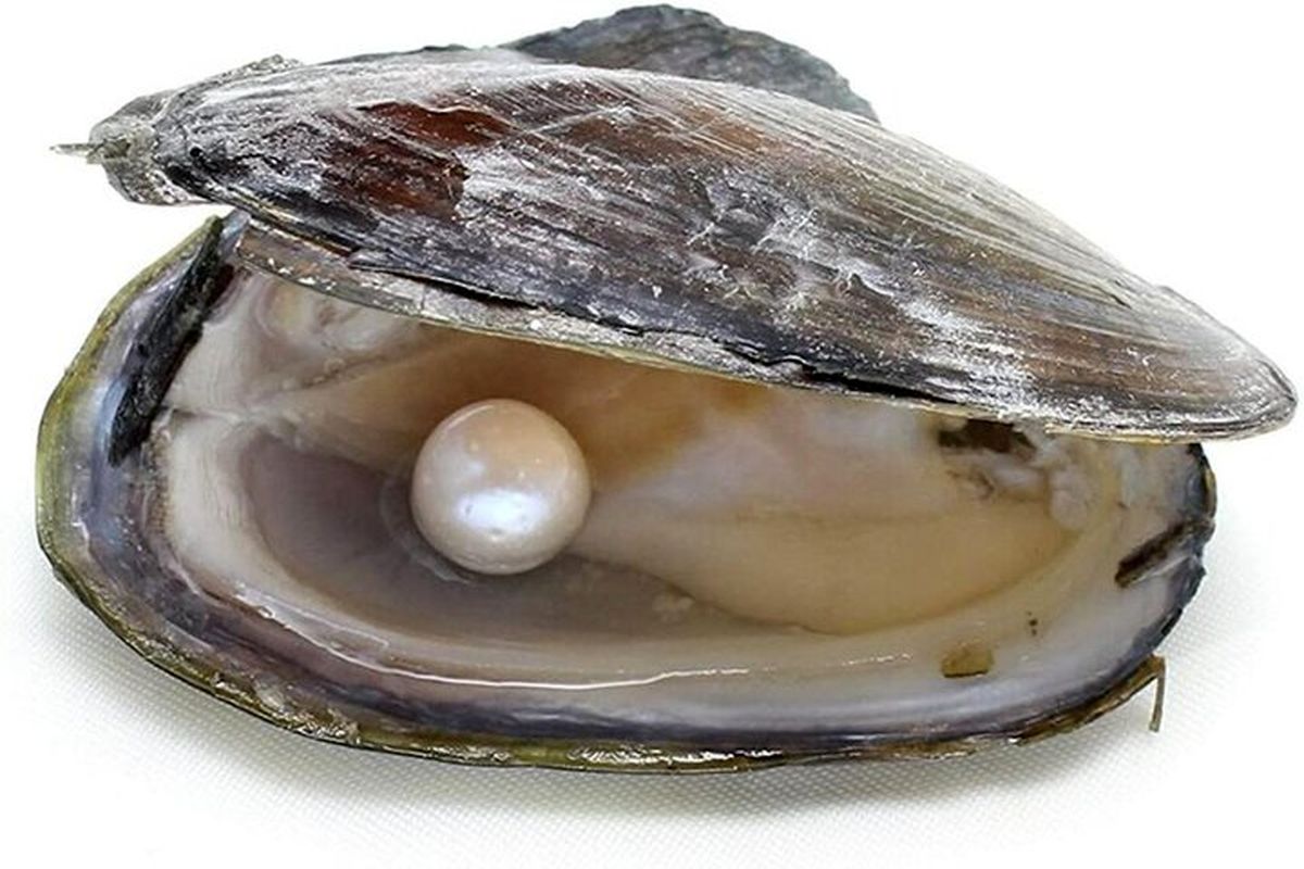 کیفیت آب شرب این شهر با 