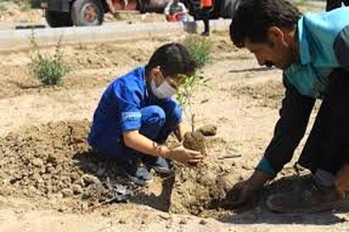 مشارکت کودکان کار در روز در ختکاری با کاشت ۳هزار درخت در پارک سرخه حصار