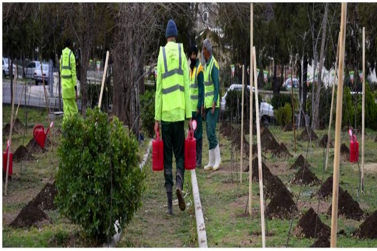 کاشت ۴ هزار درخت و احداث ۴ بوستان در منطقه ۱۴ تهران