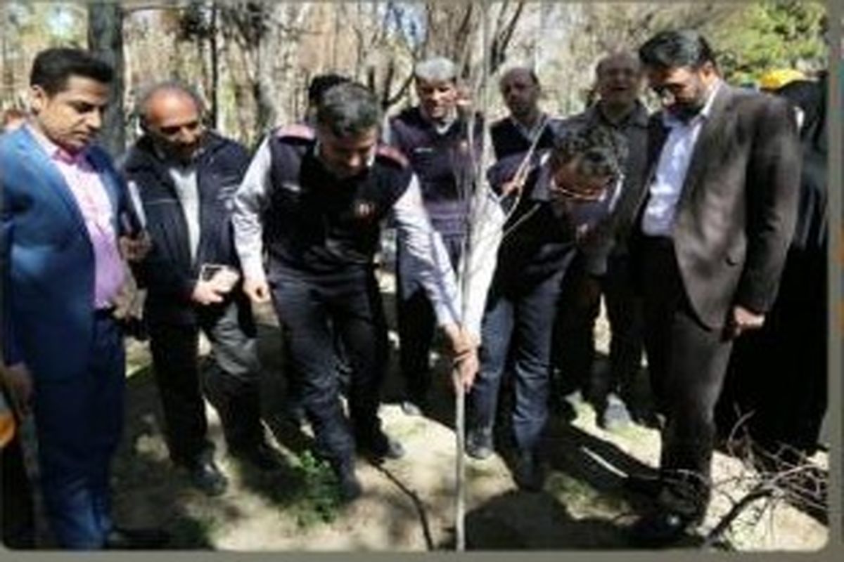 در قدیمی ترین بوستان تهران یک درخت به یاد آتش نشان شهید غرس شد