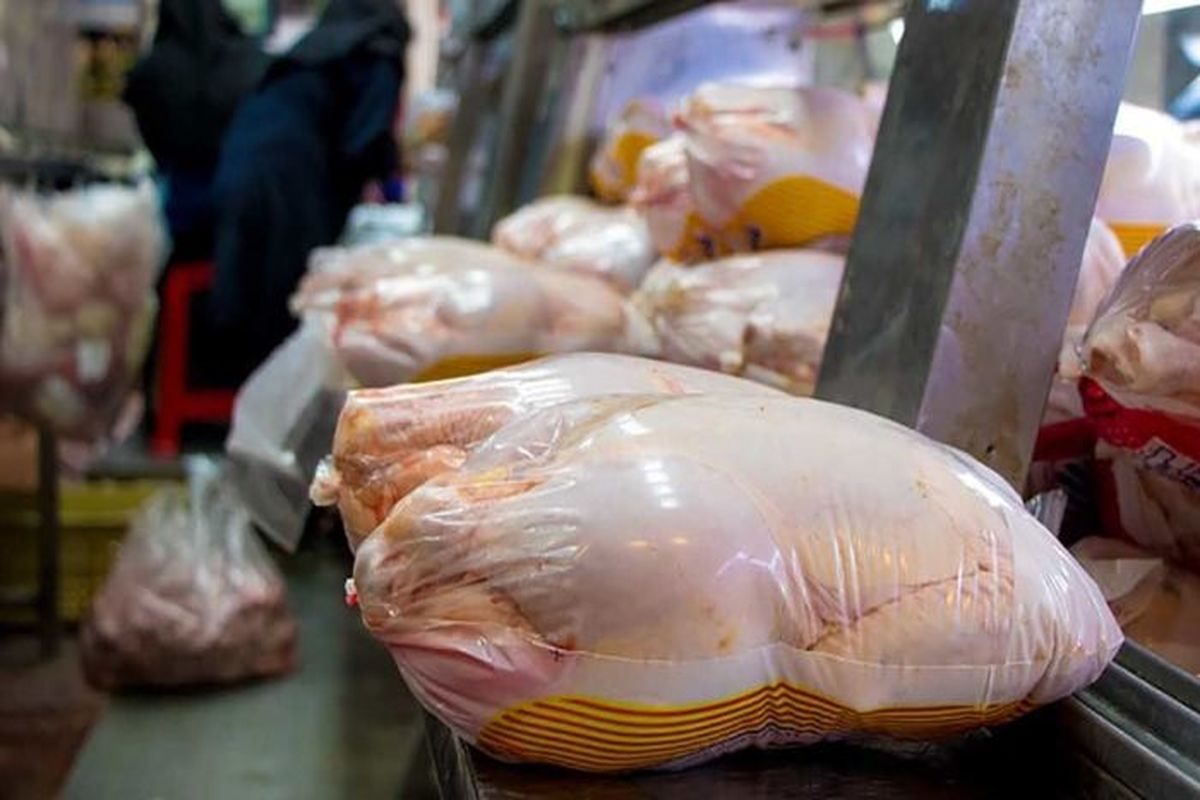 گوشت مرغ به میزان کافی در استان قزوین ذخیره سازی شده است