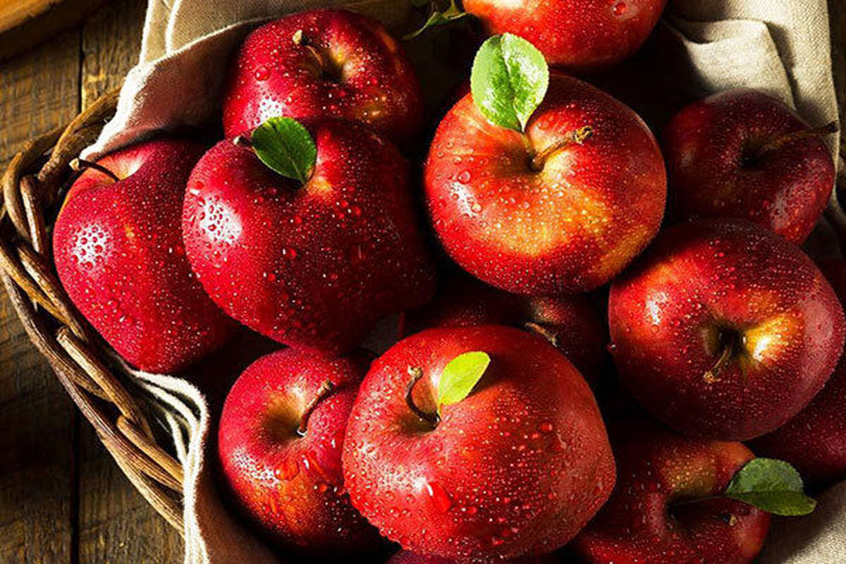 سرعت گرفتن صادرات سیب آذربایجان غربی