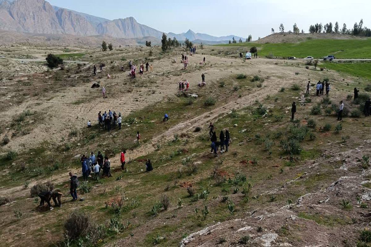 نهال کاری دانش آموزان در ۱۰ هکتار از مراتع روستای پشکان شهرستان گچساران