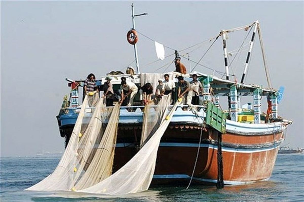 رییس سازمان شیلات: خطر نابودی گونه‌های جانوری دریایی بسیار بالاست