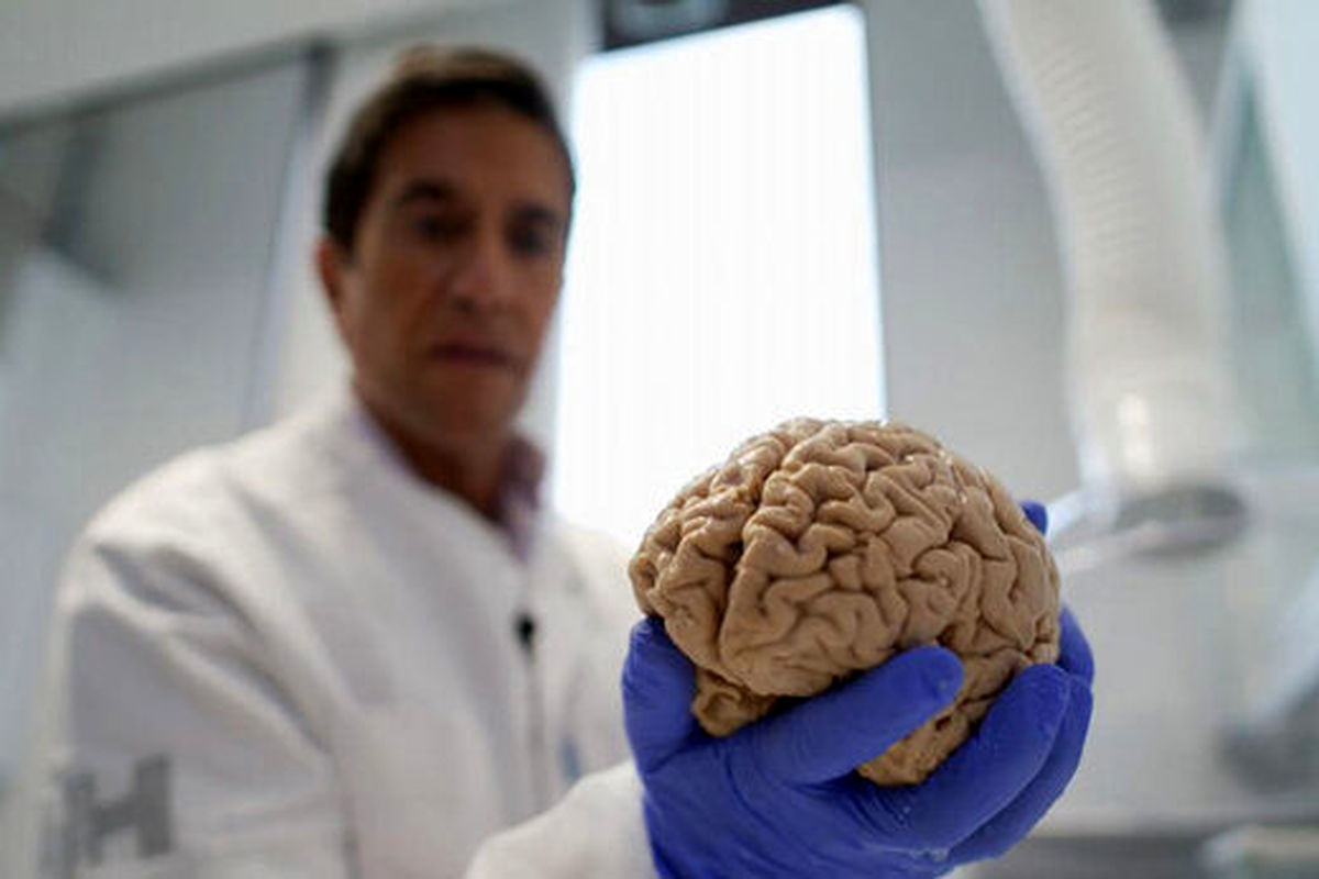 کشف ۱۰ هزار مغز انسان در یک زیرزمین! +تصاویر