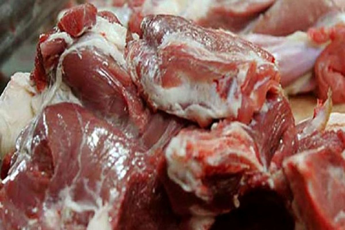 توزیع روزانه ۲۵ تن گوشت قرمز گرم در مازندران