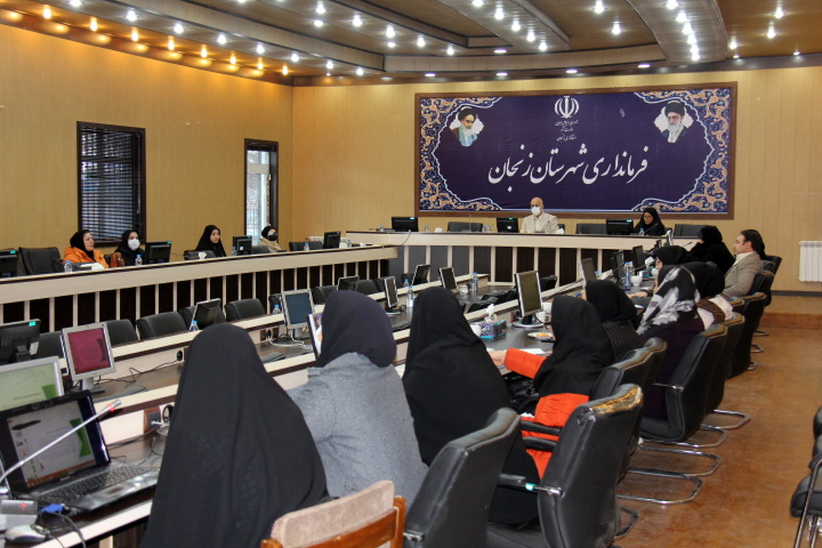 کمیته های تخصصی امور زنان و خانواده باید در زنجان تشکیل گردد