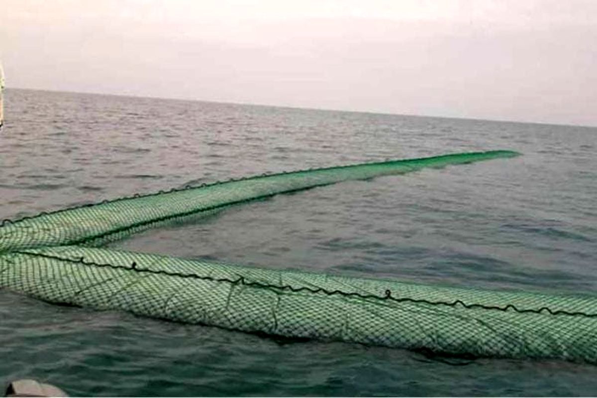 کشف دو مشک بزرگ سوخت قاچاق در میناب