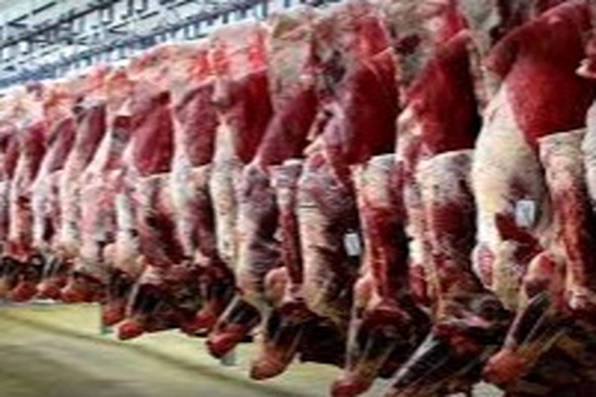 تولید بیش از۱۷ هزار تن گوشت قرمز درکهگیلویه و بویراحمد