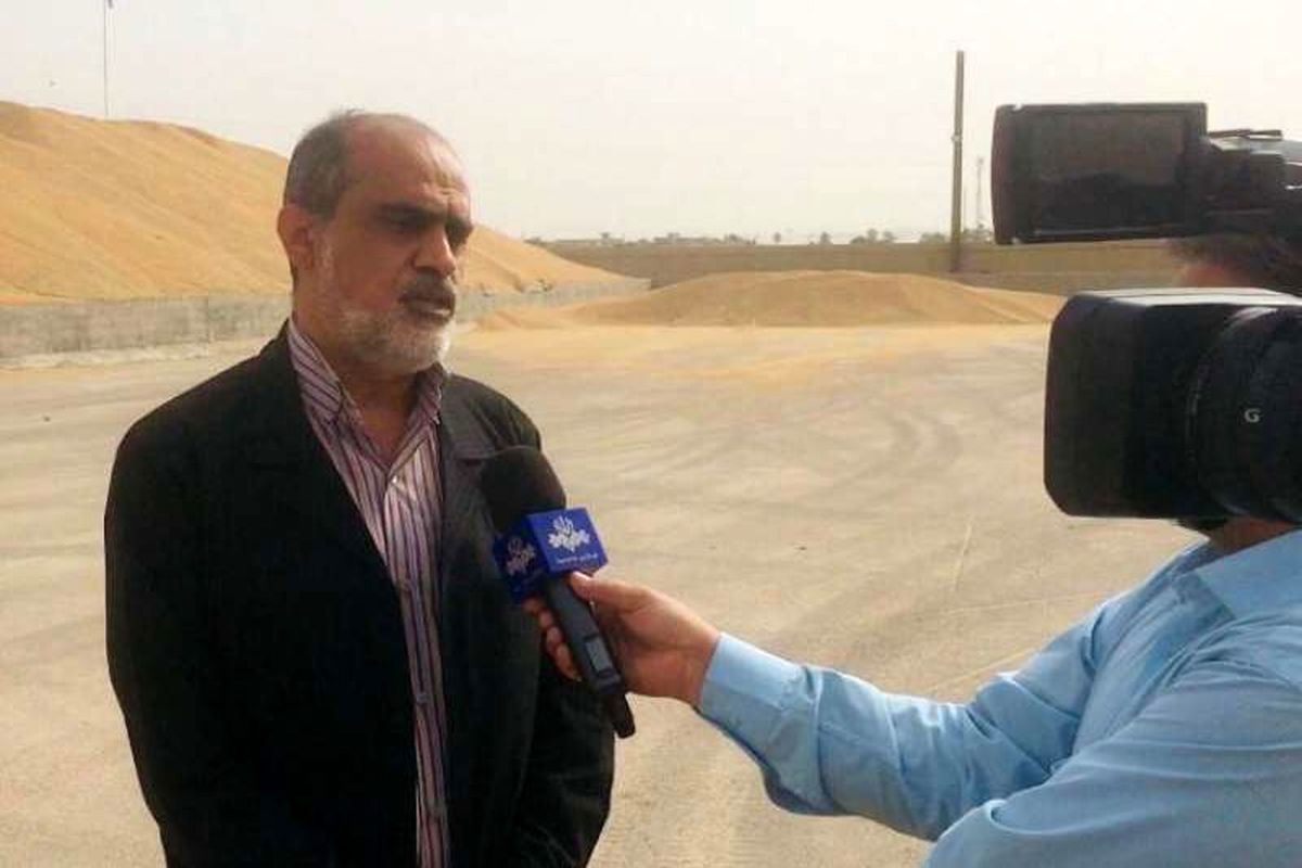 خرید گندم و کلزا خوزستان از مرز ۲۱۴ هزار تُن عبور کرد
