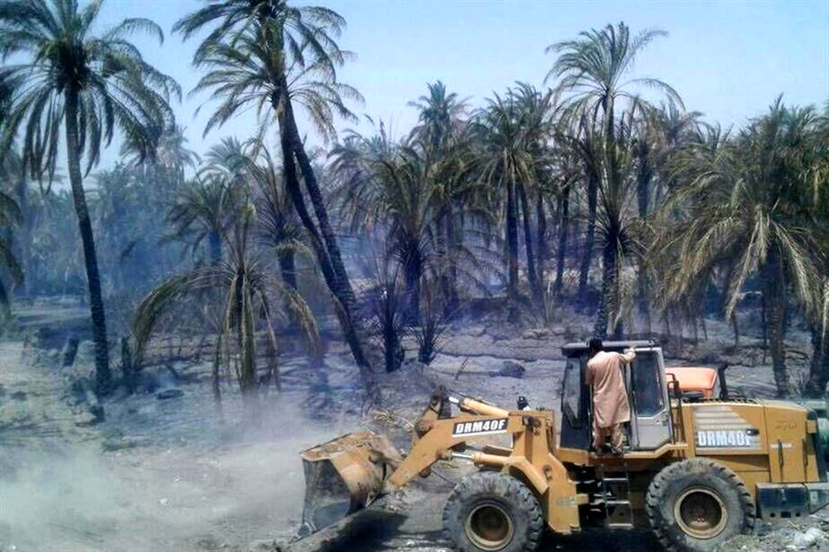 آتش‌سوزی ۱۰۵ نخل خرمای دلگان را خاکستر کرد