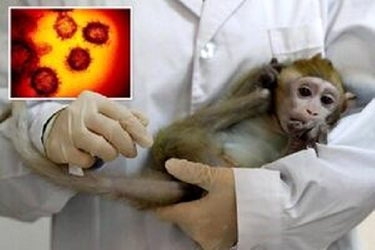 علائم اولیه بیماری آبله میمون چیست؟