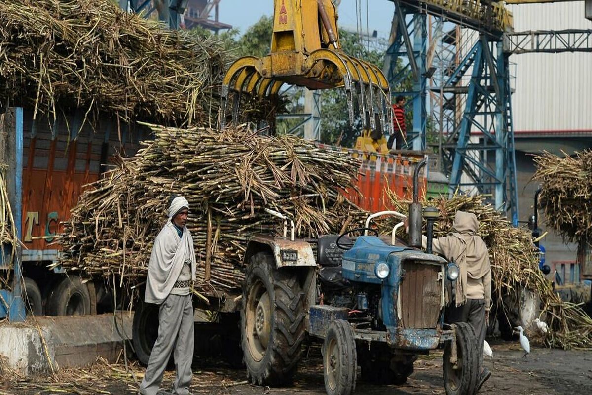 هند صادرات شکر را هم ممنوع کرد