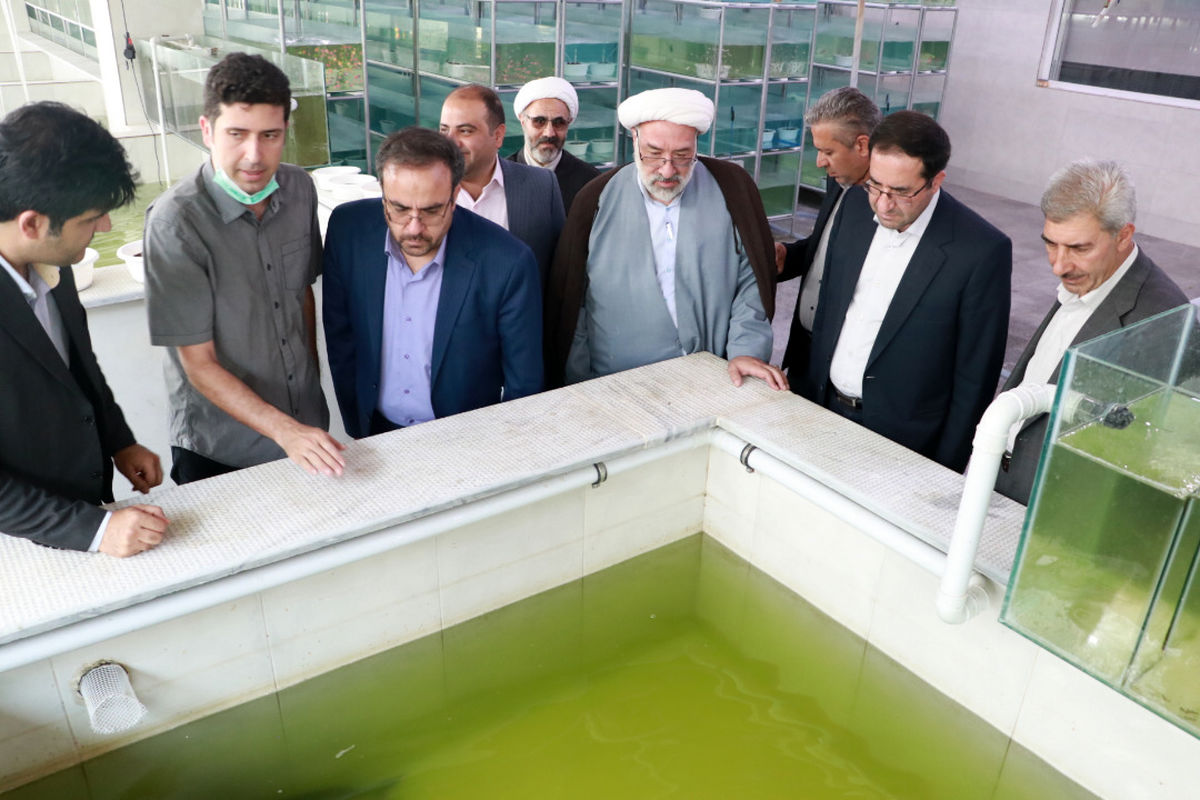 بازدید معاون وزیر جهاد کشاورزی از بزرگترین واحد مسقف پرورش ماهیان زینتی خاورمیانه در قزوین
