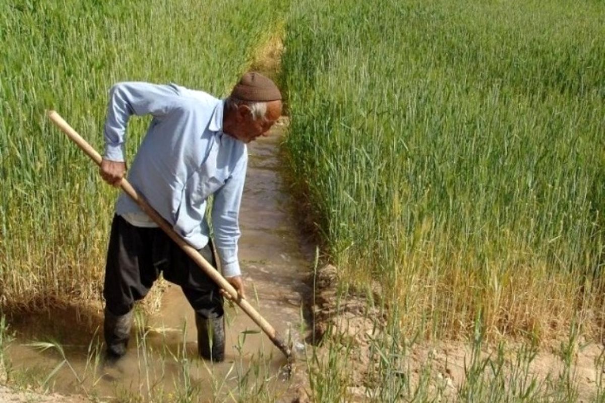 لزوم تعدیل کشاورزی در آذربایجان غربی