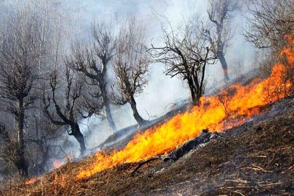 هشدار محیط زیست به خطر آتش سوزی جنگل‌ها و مراتع کهگیلویه و بویراحمد
