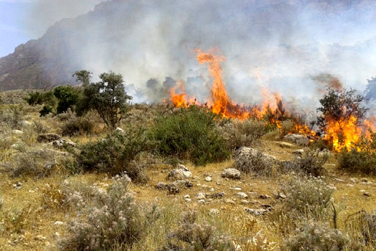 مدیرکل منابع طبیعی هرمزگان در خصوص خطر آتش سوزی در مراتع هشدار داد