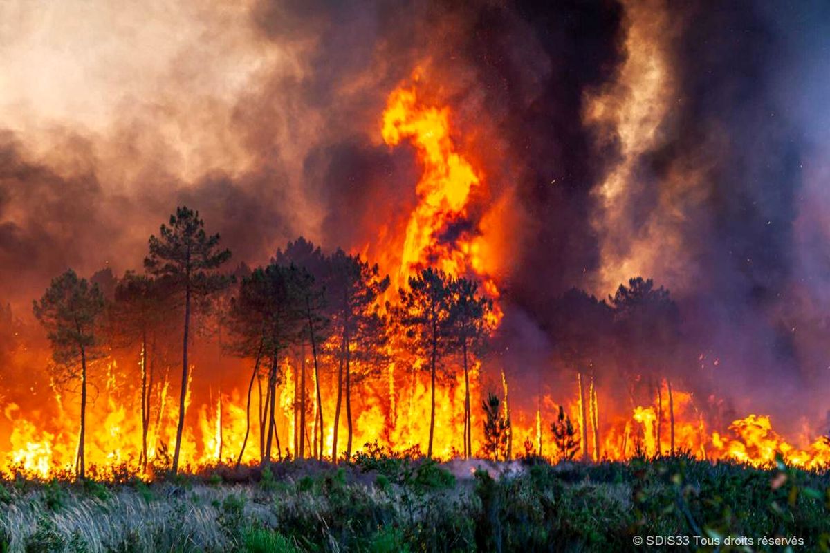 آتش سوزی گسترده اروپا در پی گرما
