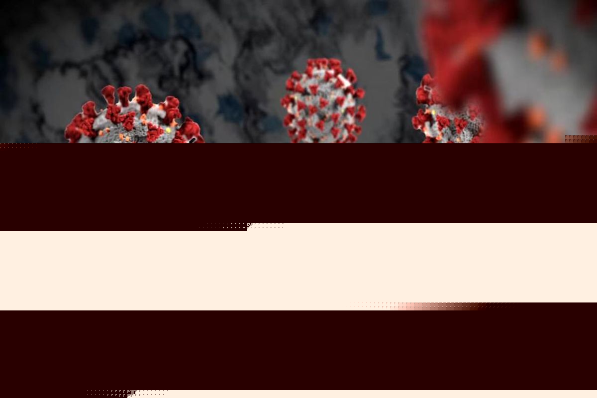 آخرین و جدیدترین آمار کرونایی استان البرز تا ۱۹ مرداد ۱۴۰۱