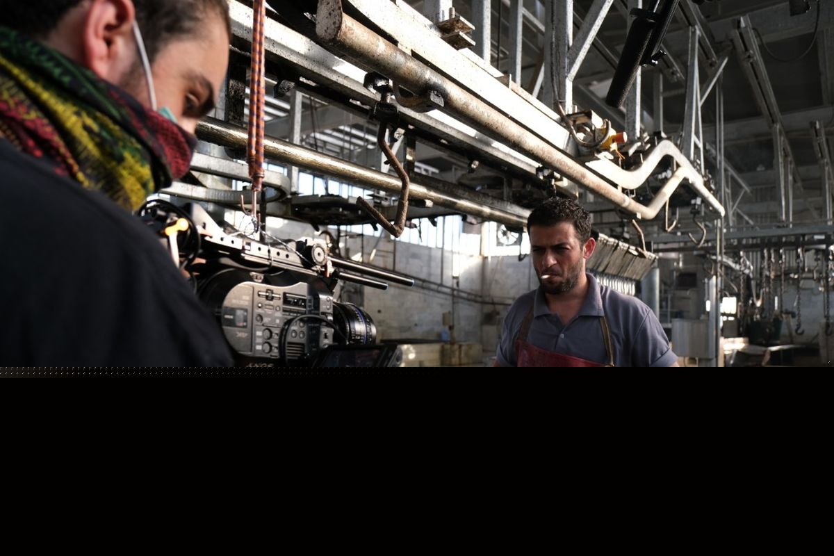 شروع کار نوید محمدزاده