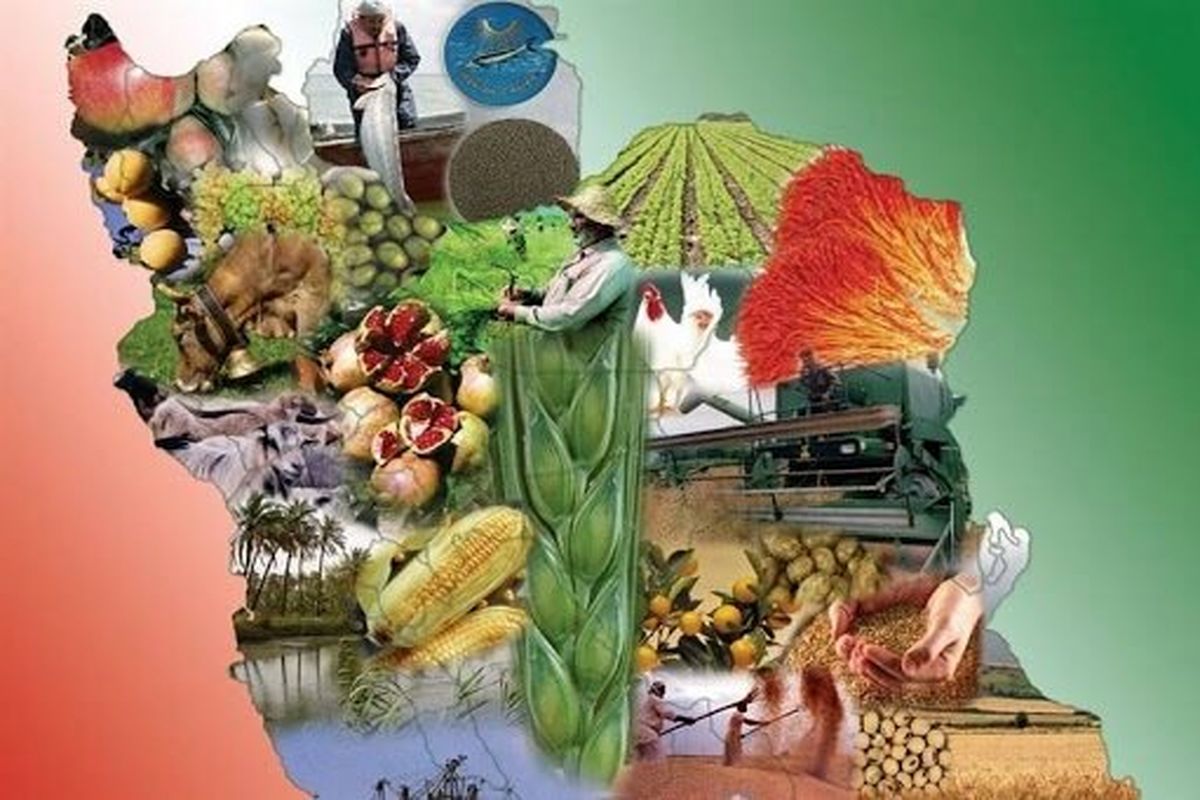 تامین امنیت غذایی کشور در دست ۴.۵ میلیون کشاورز است